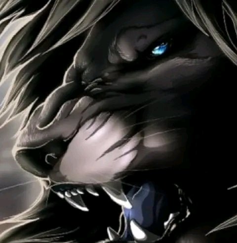 FLACA :apodo (@1998rancho) on Twitter photo 