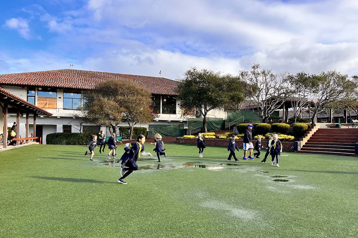When the sun comes out and there are puddles, there's only one thing to do.  #santacatalinatrue