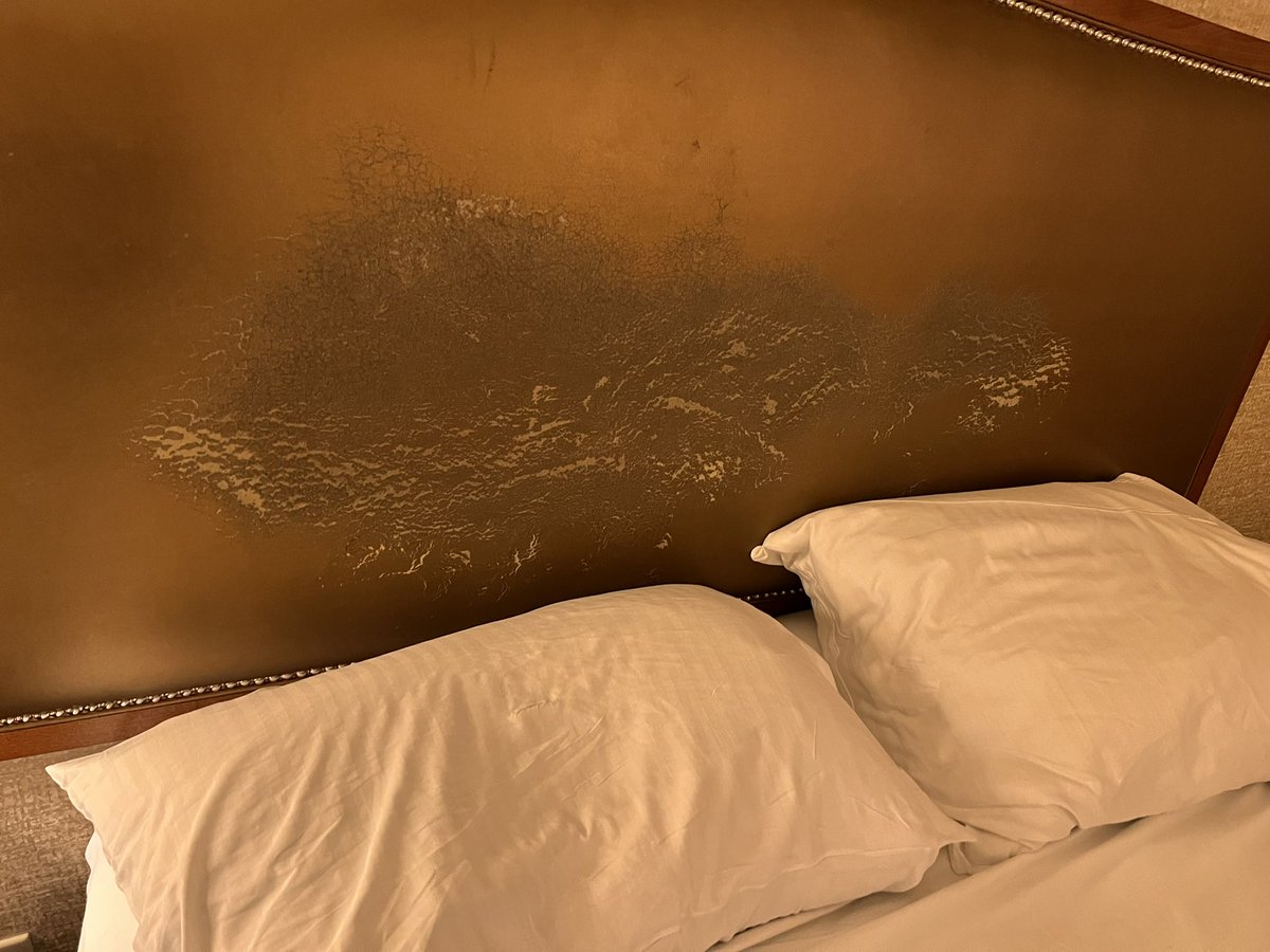 paul_leo9's tweet photo. @RioVegas  really Rio?  This is pretty bad https://t.co/jcOLdLrOK5