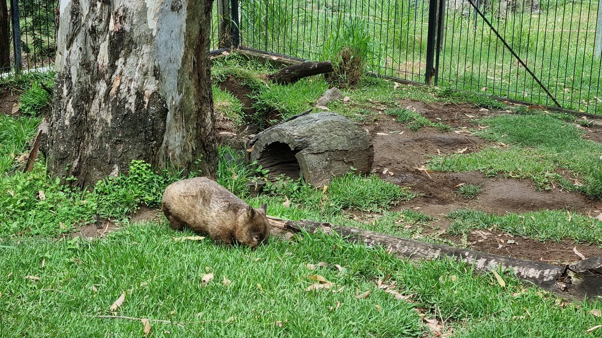 Alan Burchill tweet media