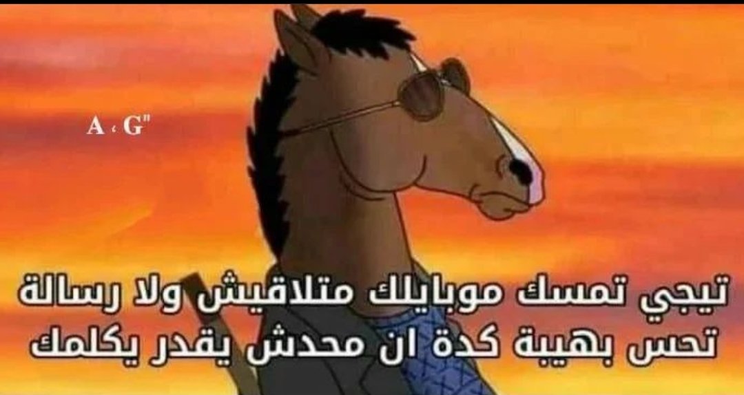 اهم حاجه الهيبة 🤝🫂