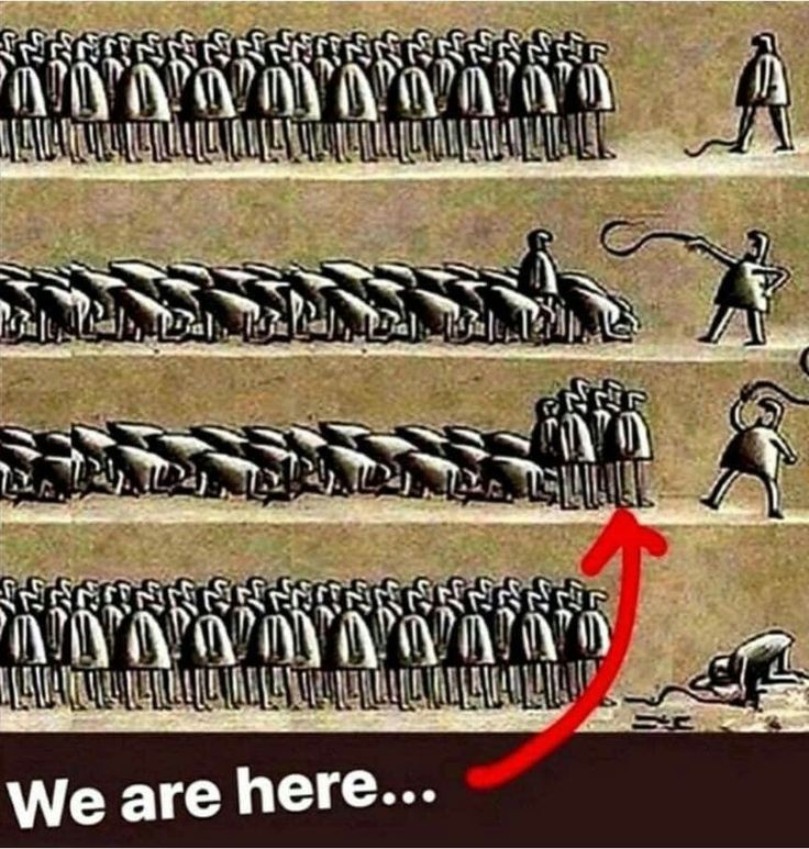 Cmdr_Sinclair's tweet image. #StandUpForAmerica 👍🏻🇺🇲
#McCarthyMustGo