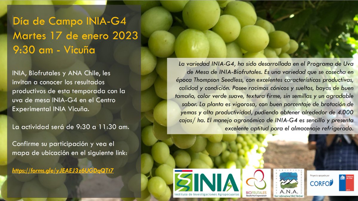 🍇El próximo 17 de enero se realizará el "Día de Campo INIA-G4", donde INIA, <a href="/biofrutales/">Biofrutales</a>  y ANA Chile, darán a conocer los resultados productivos de esta temporada de dicha variedad.
⏰9:30 a 11:30 
📍 Centro Experimental INIA #vicuña.

forms.gle/yJEAEJ3z6UGDqQ…