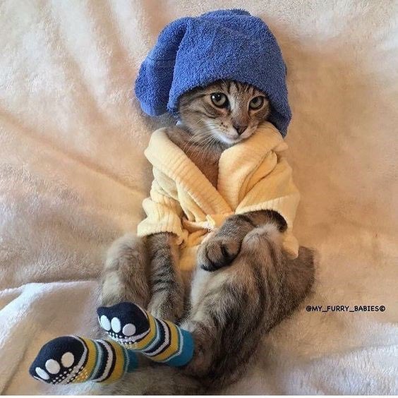 carimicstand's tweet photo. @SabinaRouge Sabina rn : https://t.co/pgRhZlb92T