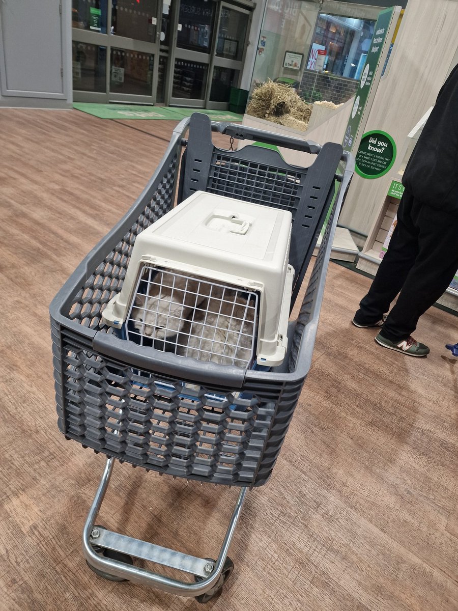 Yesterday I took my cats for their vaccinations at Vets4Pets next to Pets at Home. So I went on a short shopping trip for cat treats toys and litter afterwards. They had to find a trolley big enough.