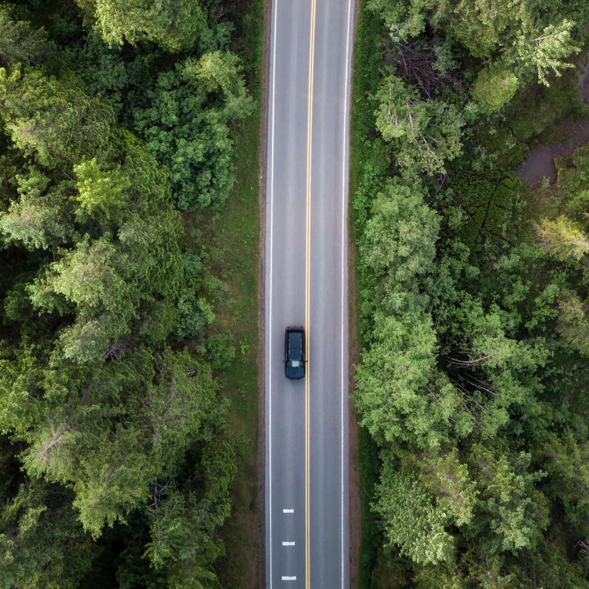 Super_Auto_Co's tweet photo. The open road is calling you -- don't let car problems keep you from answering. Dial (303) 436-9559 to schedule service or a repair. https://t.co/znUPk9apa3