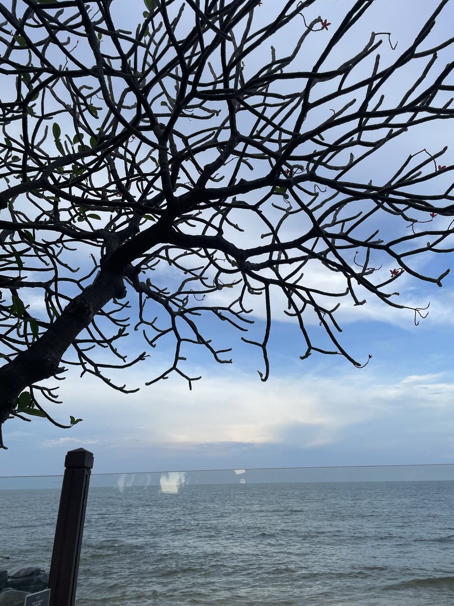LishaPetch's tweet photo. Can I just go back now 🇹🇭 https://t.co/k2VOz5PwSM