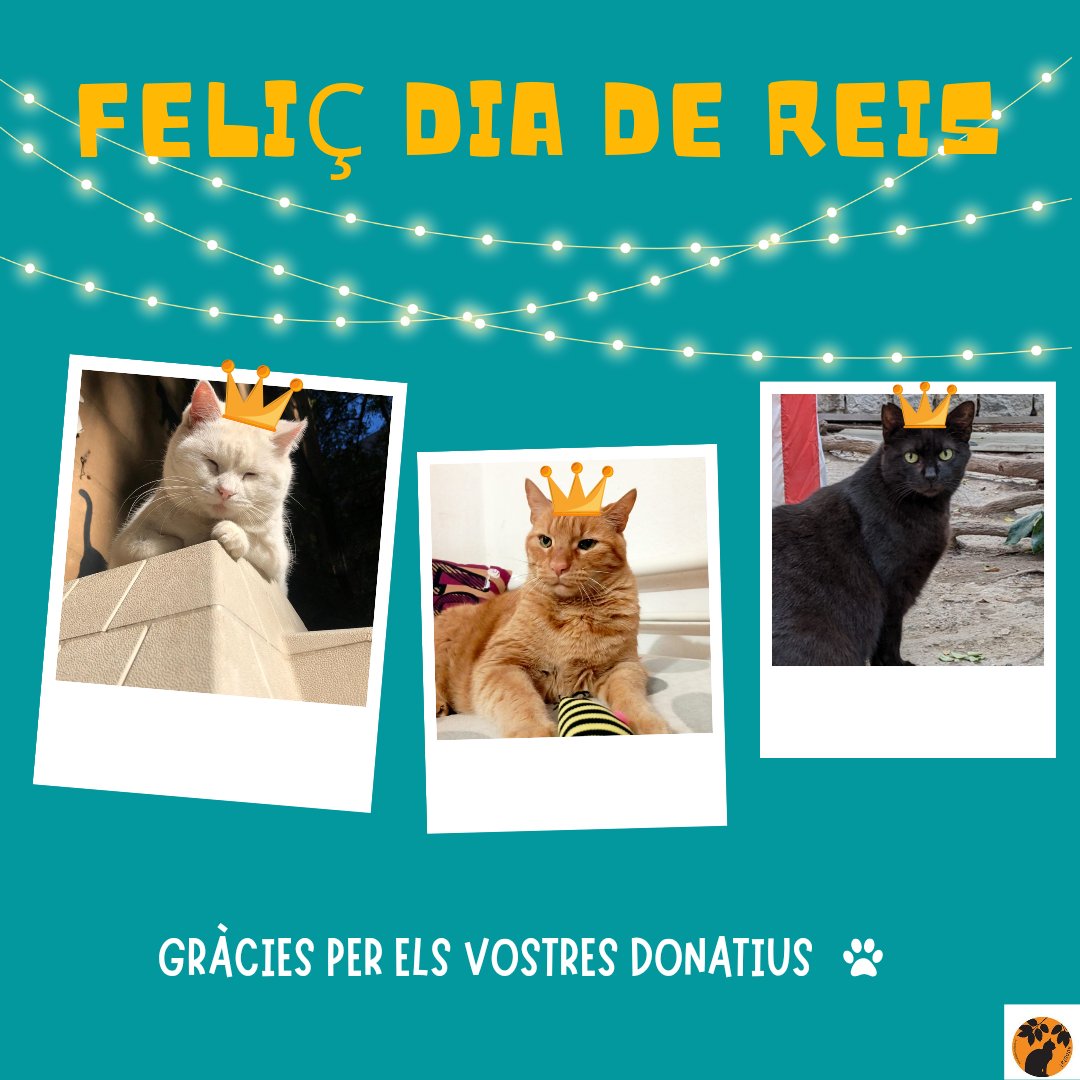 Jardinet dels Gats tweet media