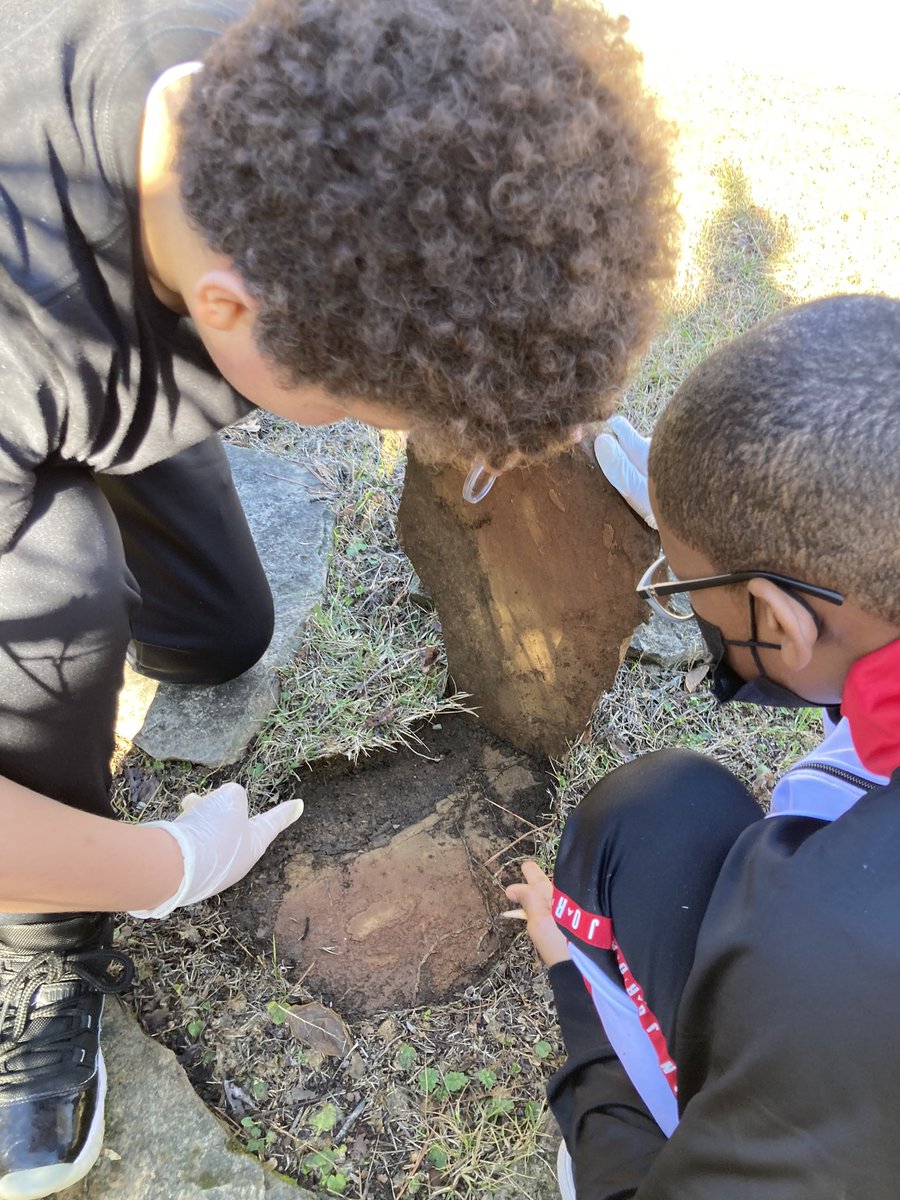 Matty_Hardy1's tweet image. Hunting for microhabitats on the first day of Quarter 2! #HCS_Science @normalparkmm