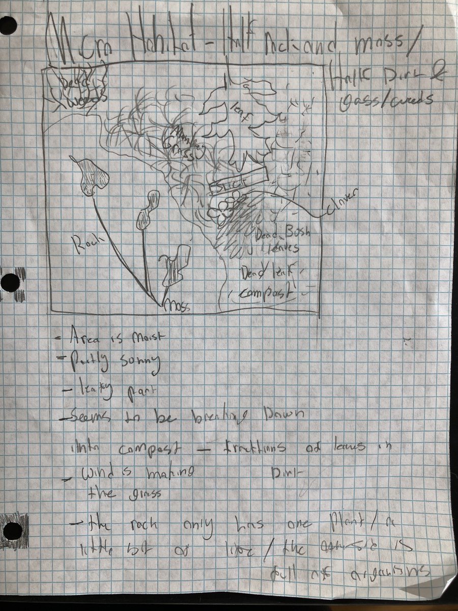 Matty_Hardy1's tweet image. Hunting for microhabitats on the first day of Quarter 2! #HCS_Science @normalparkmm