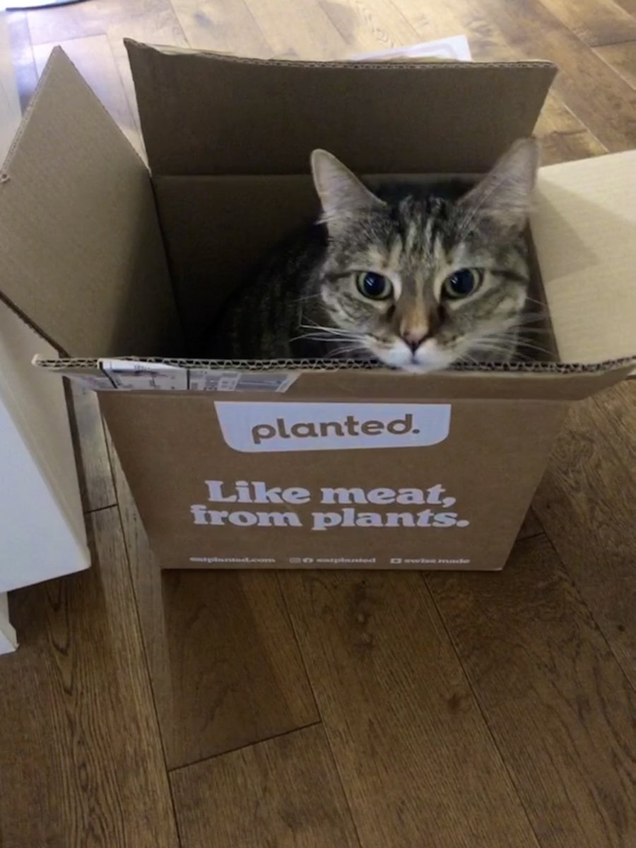 JaneFallon's tweet photo. I thought I’d order some more of the amazing EatPlanted range. This is not what I was expecting. https://t.co/uytgsjk4u5