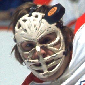 Hockey Cards on Twitter: masks. Which of these is “THE” Ken Dryden you? https://t.co/OSQb9Eobsr" / Twitter