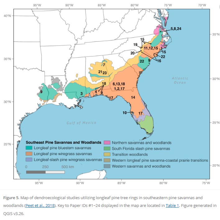 New pub!🔥🤩 presenting "The Longleaf Pine Tree-Ring Network" led by @dendrotrog reviewing &amp; proposing future research directions in the dendro subfields of climate, archaeology, fire, ecology - ecology led by yours truly ;)  journals.sagepub.com/doi/full/10.11… #DendroTilYouDie #TeamLongleaf