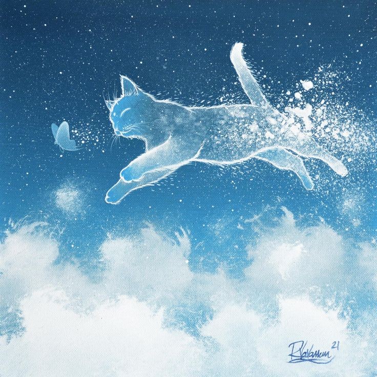 ☆☆#HealingPurrsPawty☆☆

Sumtimez, me just lookz up, smilez n sayz "Me knowz dat waz yoo"
.