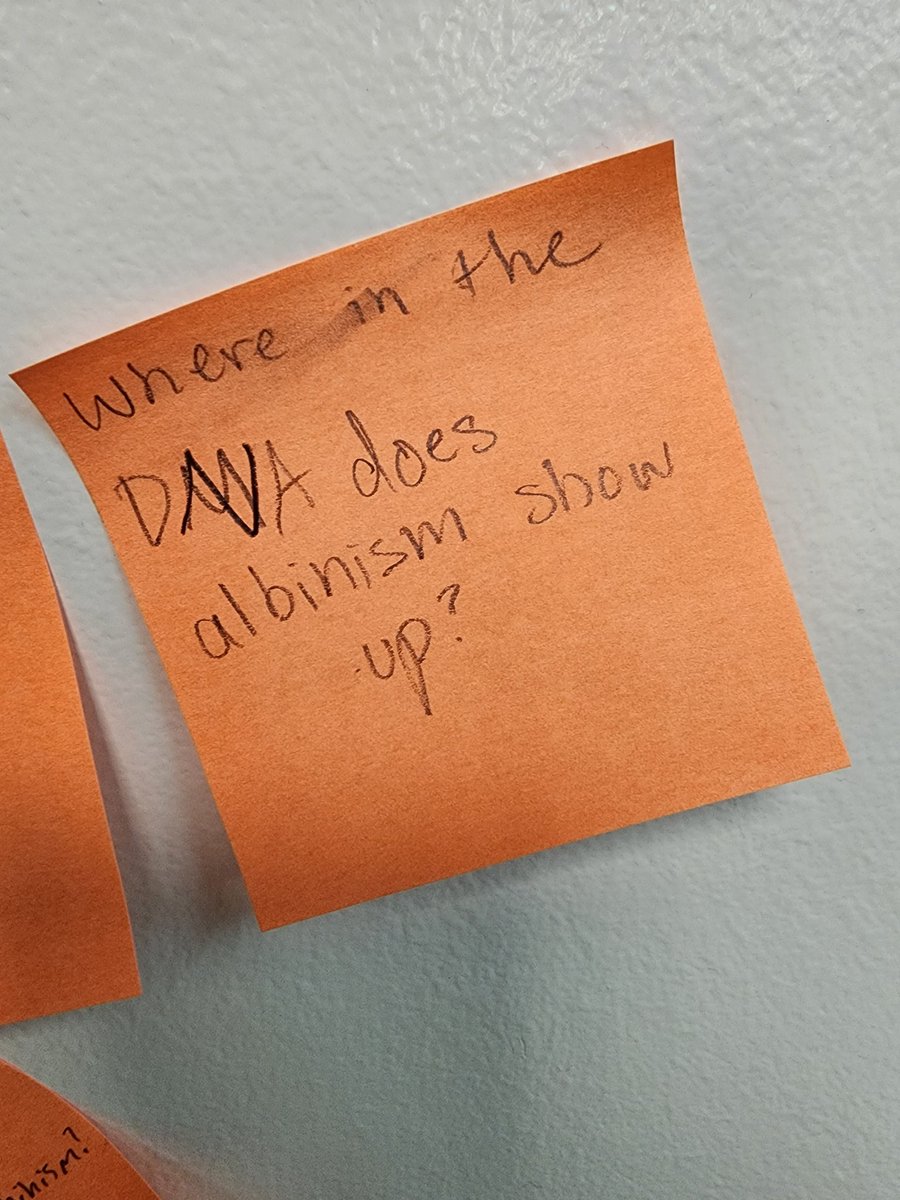 FortCalhounSci's tweet photo. Biology students are unpacking our next topic: albinism.  After viewing a short video, the students grouped up to prioritize the questions they still have.  #wethinklikescientists #fortcalhoun #proudteacher https://t.co/bkygkJtkZA