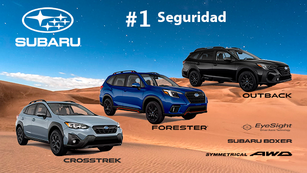 SubaruPRico's tweet photo. Disfruta la Magia de los Reyes ✨👑🐫 en un SUBARU
#DriveYourEmotion #believe #ReyesMagos #PuertoRico🇵🇷 #LoveSUBARU💙 #SUBARU #FORESTER #CROSSTREK #OUTBACK #AllWheelDrive #XMODE #ProudofBOXER #EyeSight https://t.co/IJHFp1uRuK