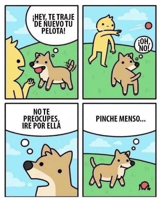 noly_hear's tweet photo. Un poco de humor… 😁 https://t.co/FHK92HtXgf