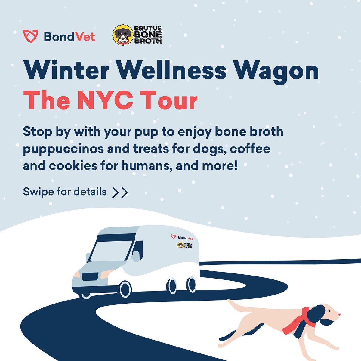 BrutusBroth's tweet photo. #NYC pups - join us this weekend as we team up with @BondVetClinic to bring you some Winter Wellness! We’ll have treats for humans and pups - come see us! ☕️🤍🐾🍪 https://t.co/XH3Kuj9rHr