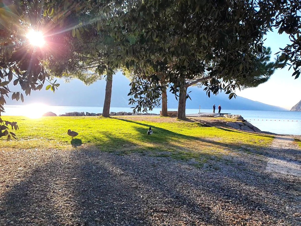 MaciLuna3's tweet photo. Il sole mi è entrato nelle vene e ha trasformato tutto in oro.
(Elizabeth von Arnim)

Spiaggia Sabbioni - Riva del Garda
#lake #Garda #live #nature https://t.co/zCbuW76DBQ