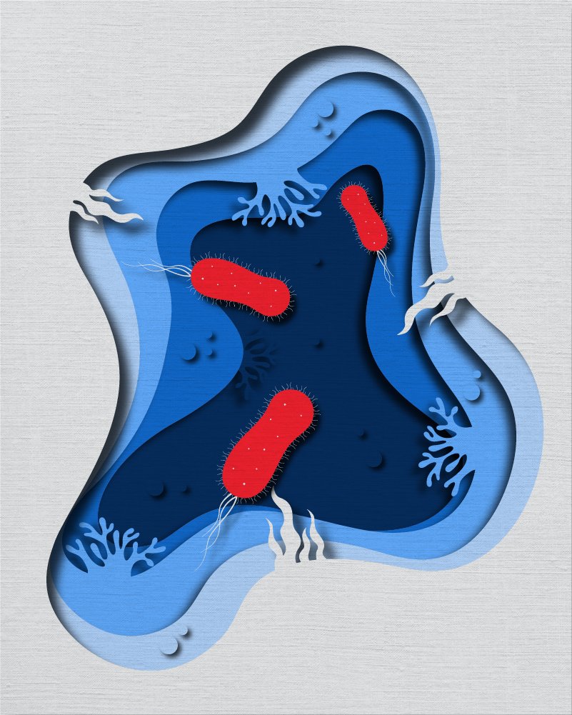 cellinedesign tweet picture