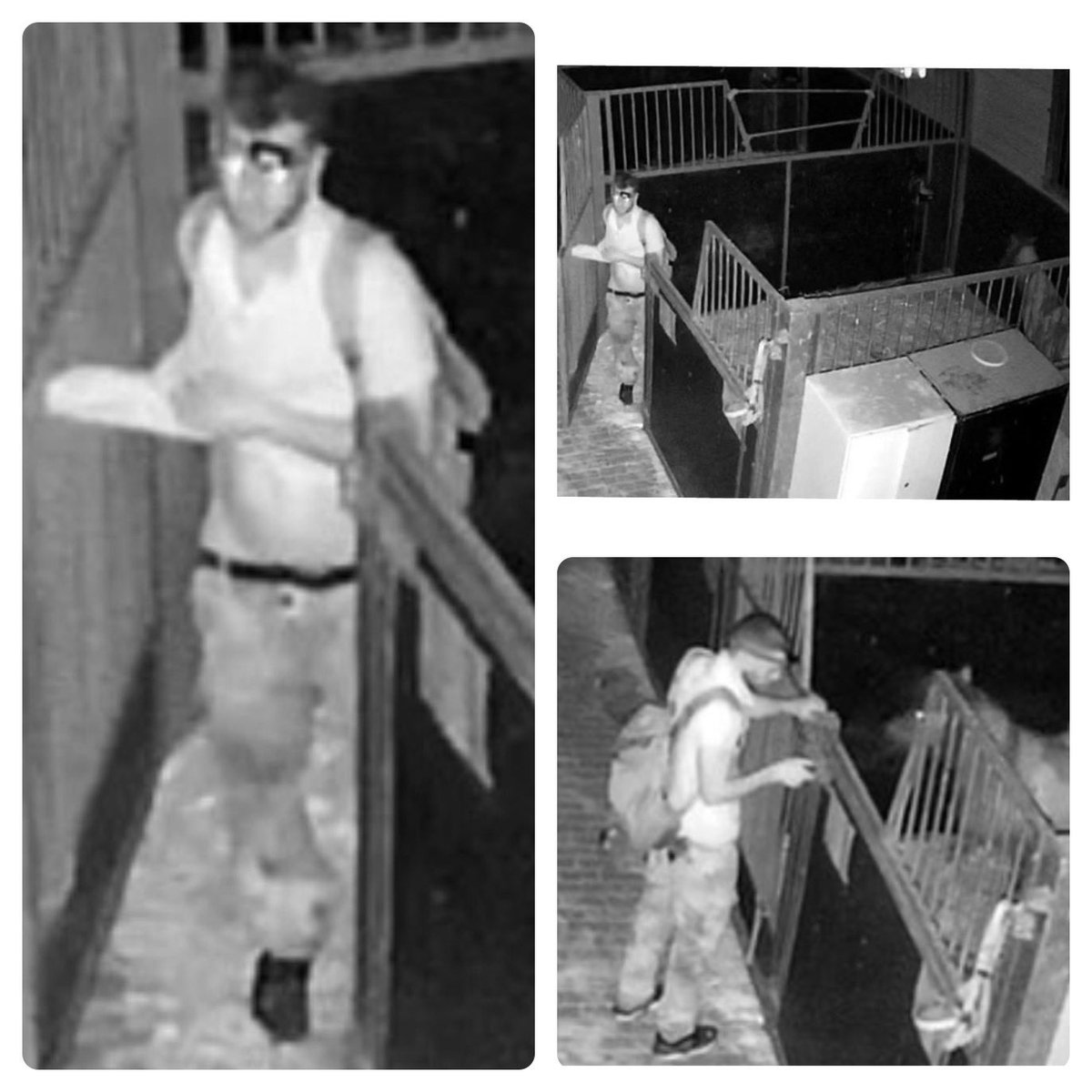 pat4reason's tweet photo. #Pferderipper #Gesucht
Wer erkennt diesen brutalen & perversen Genitalienverstümmler?
Meldet euch bei der #Polizei!
#Pferdeschänder #Pferd #Pferde #Gewalt #Jena #Hamburg #Wanted #News #Stall #Deutschland #Reiten #Vergewaltigung #Gefahr #Fahndung #Genitalien #News https://t.co/k81Bk5up4T
