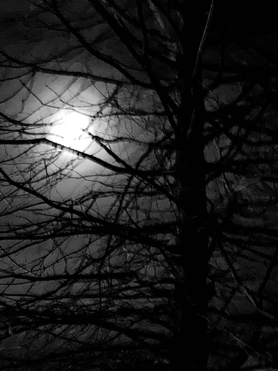 Moody Moon #lunar #moon #waxinggibbous #nighttimephotography #blackandwhite #monochrome