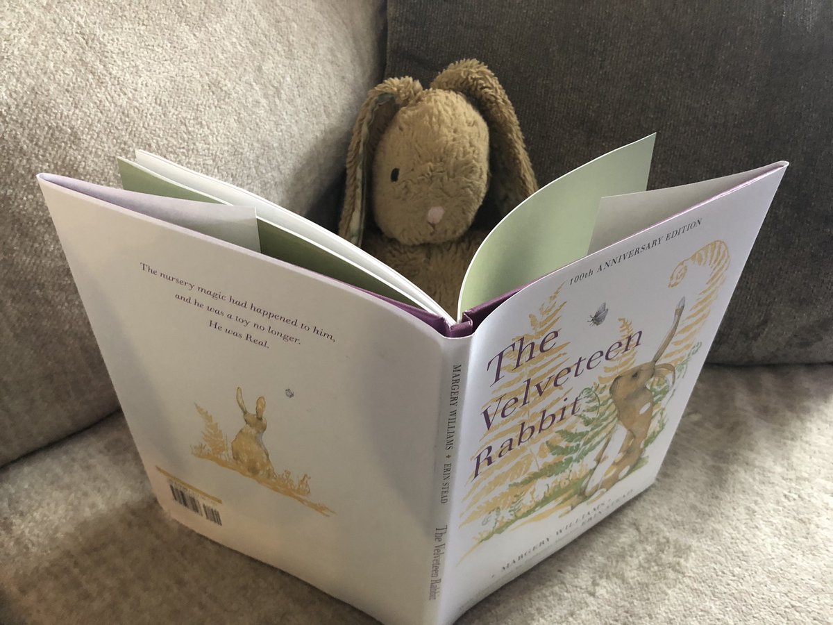 Our little lost bunny is doing some light reading, waiting for his family to find him. Is he yours?