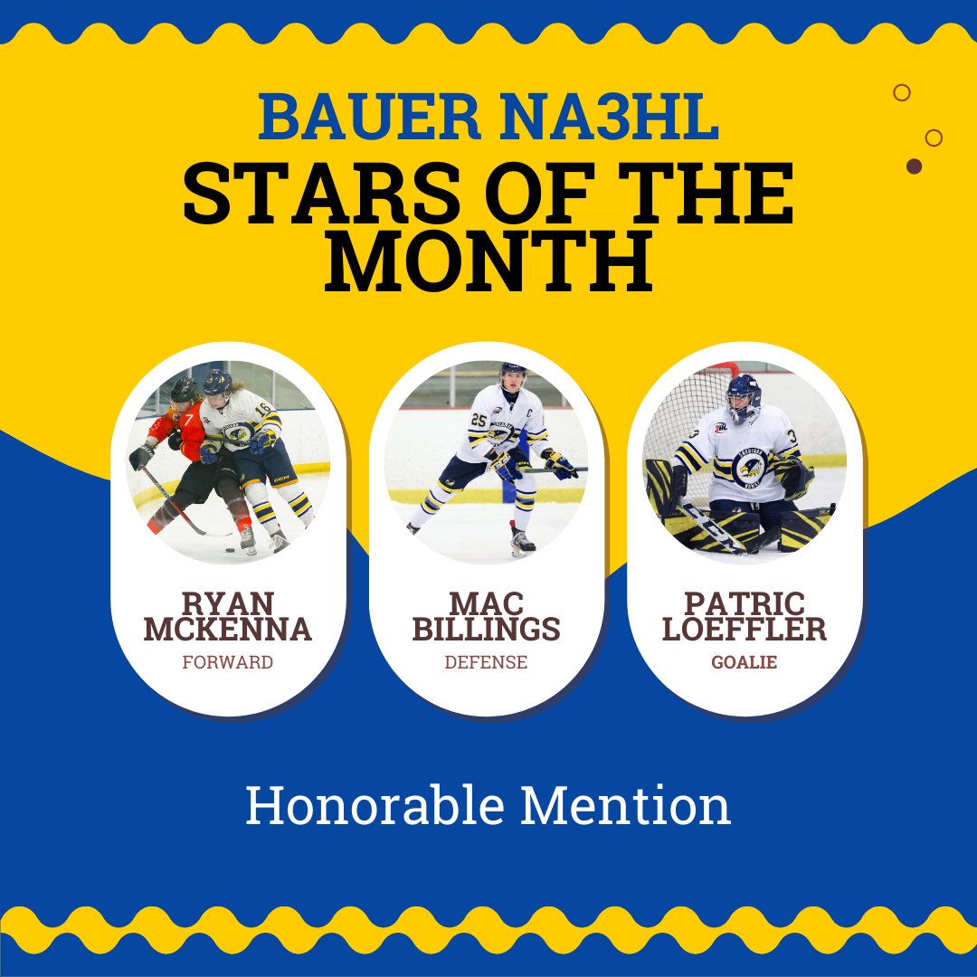 HawksJrHockey's tweet photo. Hawks Players continue to excel.

Three Sheridan Hawks were awarded made the Bauer NA3HL December Stars of the Month Honorable Mention. https://t.co/x2C3a8crZY