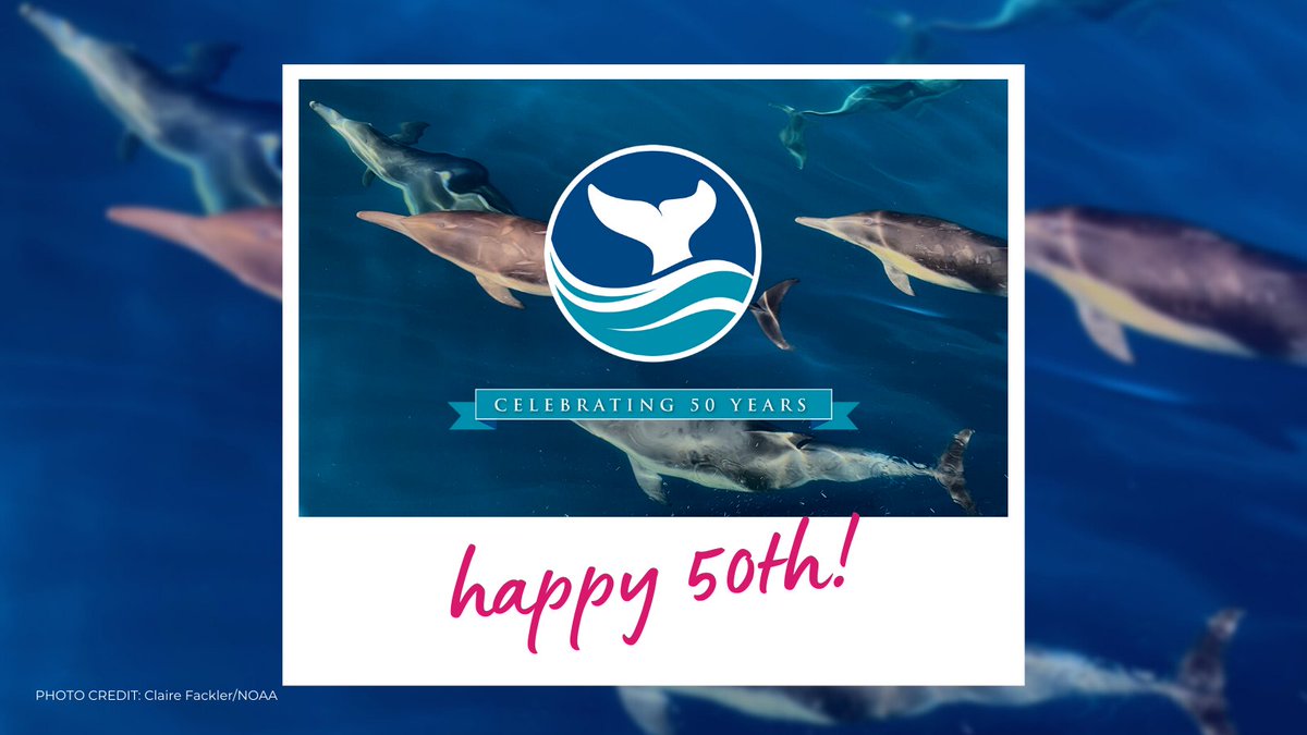 The National Marine Sanctuary System turned 50 this year! The NOAA has been protecting these special areas around our country for half a century and still going strong. 🌊💙 Have you ever visited a #NationalMarineSanctuary? #NOAA #SaveSpectacular @sanctuaries