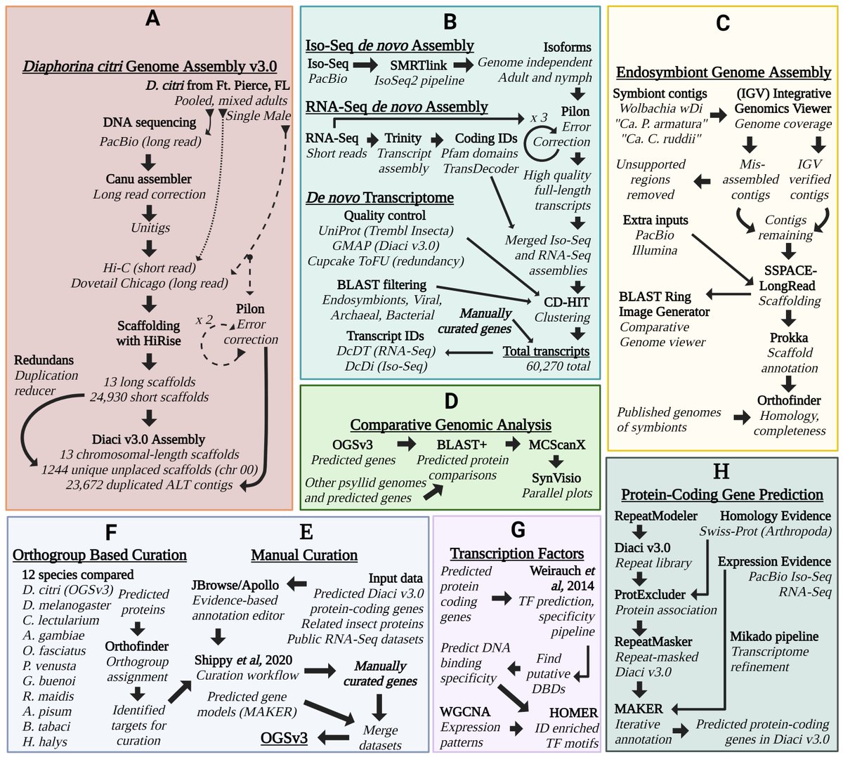 Surya Saha π§¬βοΈπ¨βπ»π (@sahasurya) on Twitter photo Also includes amazing graphics by <a href="/Marina_Entom/">Marina Mann</a>
The methods flowchart is my favorite #MethodsMatter
x.com/SahaSurya/stat⦠Also includes amazing graphics by <a href="/Marina_Entom/">Marina Mann</a>
The methods flowchart is my favorite #MethodsMatter
x.com/SahaSurya/statβ¦