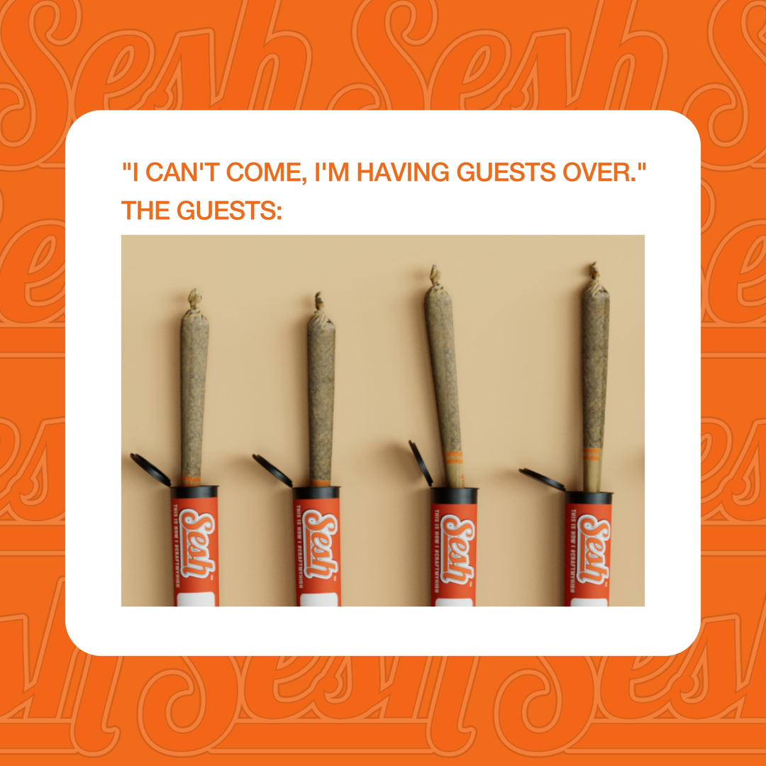 seshbycraft tweet media