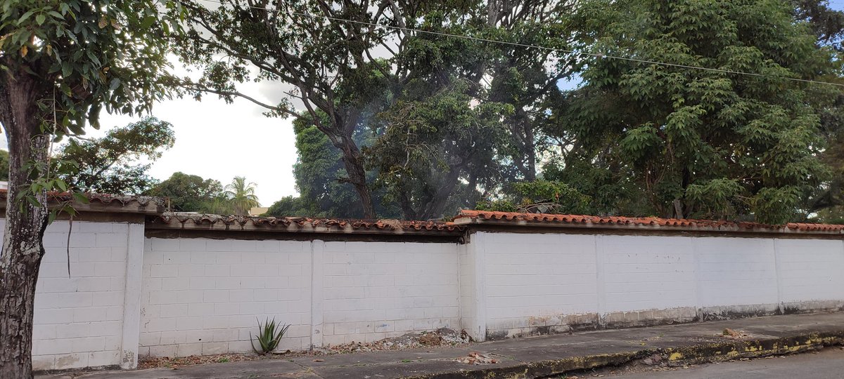 Cementerio Municipal en la Urb. Santa Elena, abandonado, desvalijado, invadido, tala de árboles, suministro de leña y quema indiscriminada, ni la policía por la invasión, ni los bomberos por la quema y ni la alcaldía por mantenimiento.

@luisjonaspsuv 
@AdolfoP_Oficial