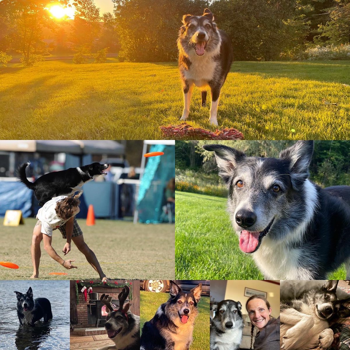 RIP Vim the Wonder Dog (2009-2023)
🌈❤️