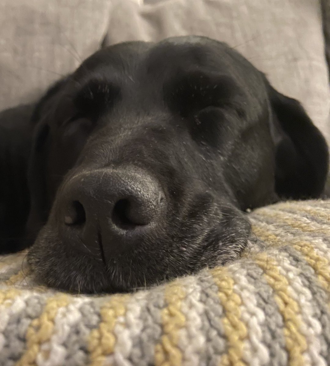 Andrew Cotter tweet media