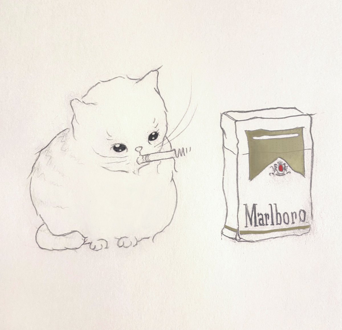 ecto_fun's tweet image. 