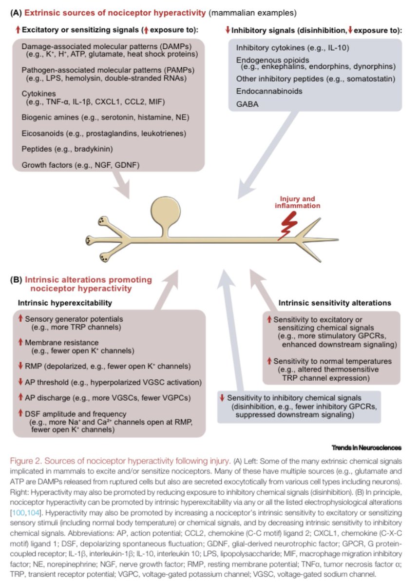 Ewan St. John Smith tweet media