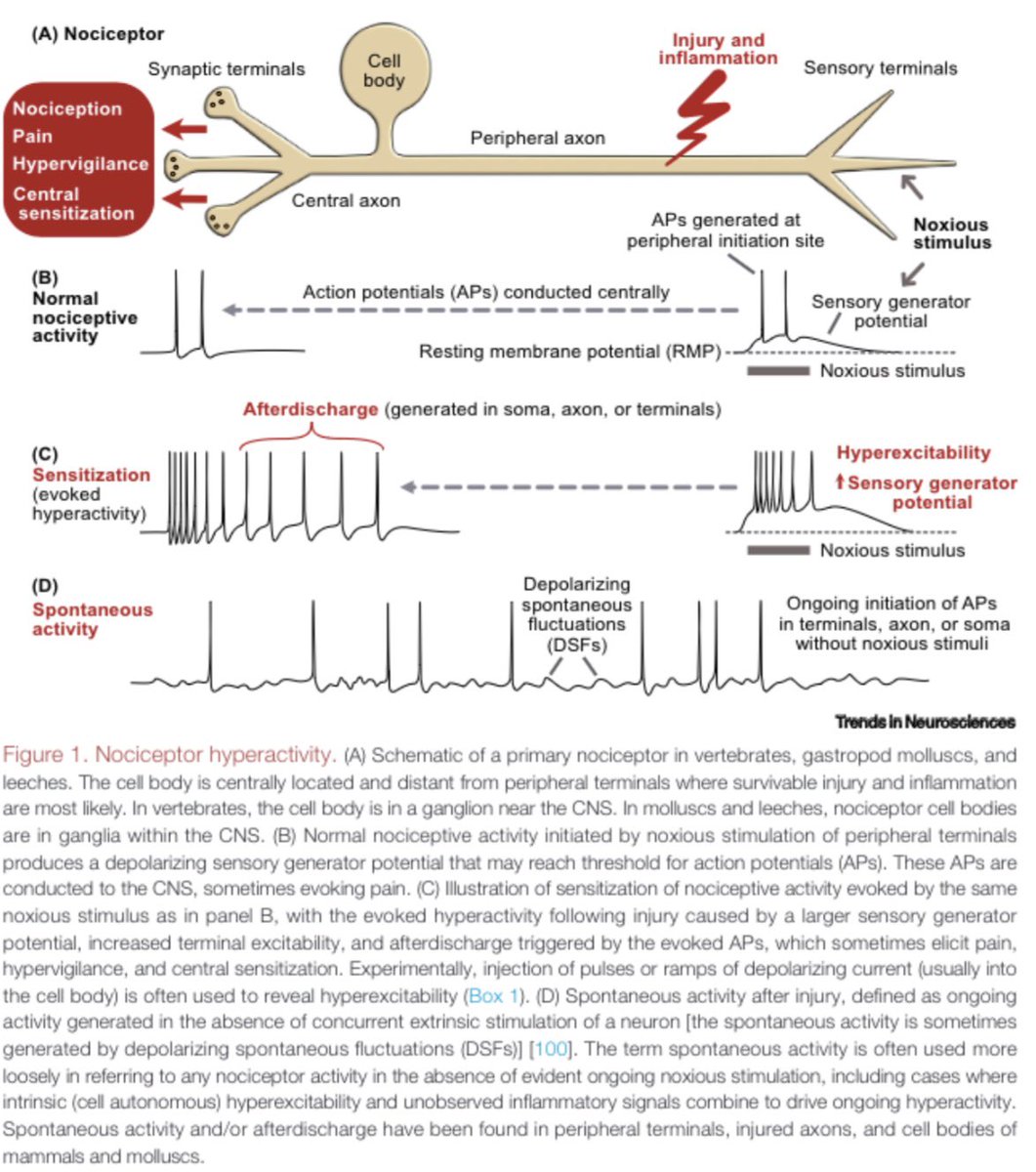 Ewan St. John Smith tweet media