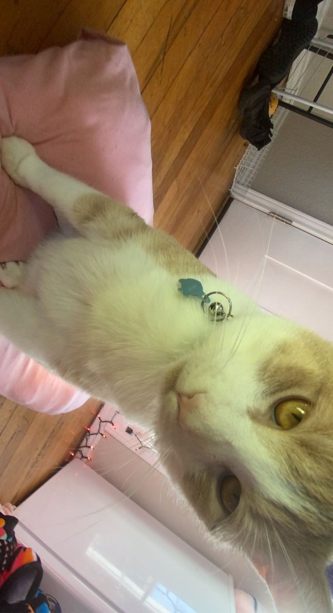 yearnoclock's tweet image. u rang?