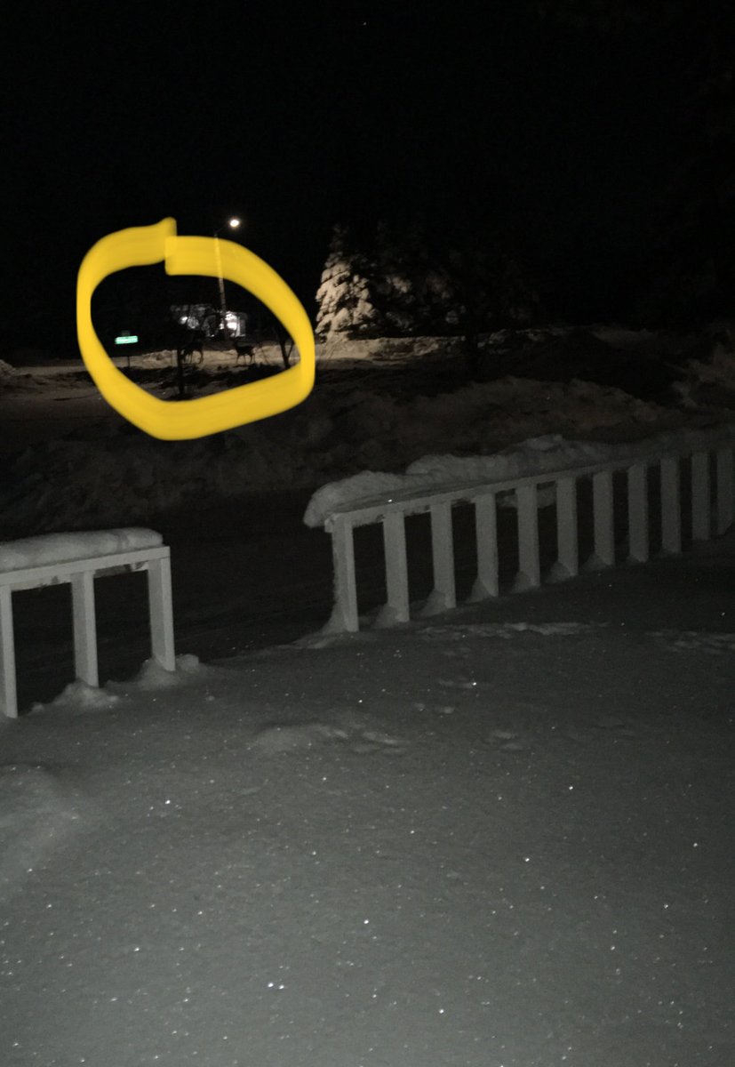 petitegal62's tweet image. Let Lu out this morning &amp;amp; I saw 2 shadows by my garage door. It was a Momma &amp;amp; her fawn.Ran in the house to grab my phone for a pic &amp;amp; they were already in the street. #MommaAndHerBaby #NoHuntingAllowed #GotSnow 🥶