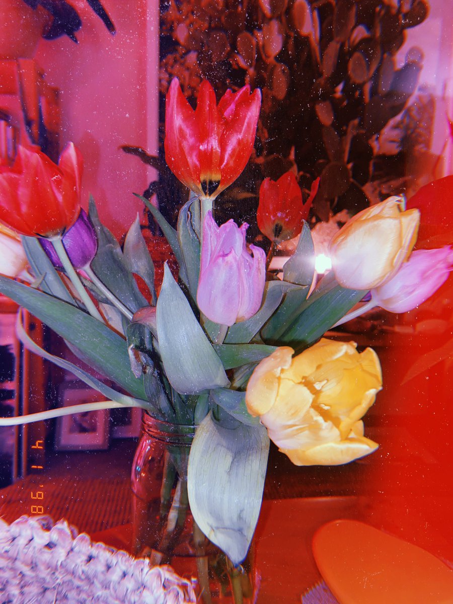 Emily Millichip tweet media