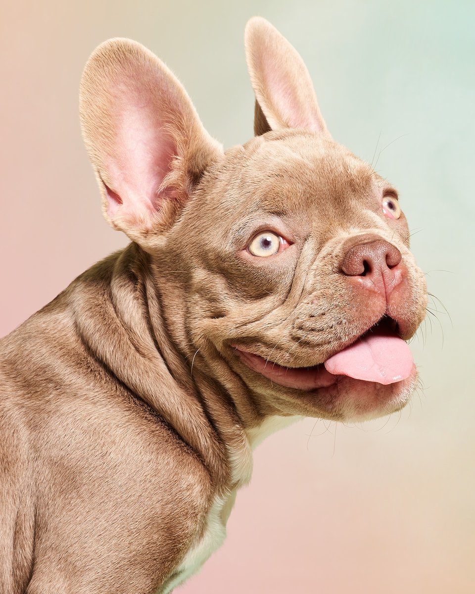 Heather-Mariah Dixon tweet media