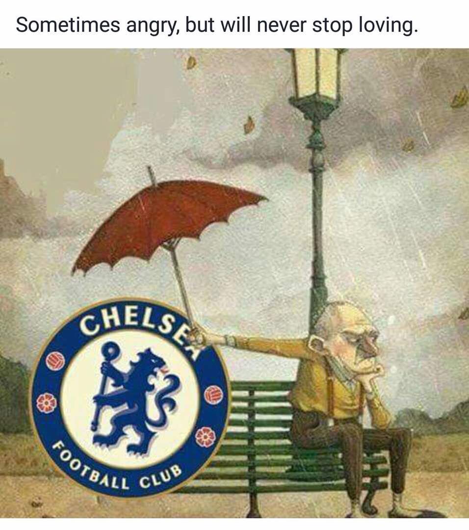 THE CHELSEA FORUM tweet media