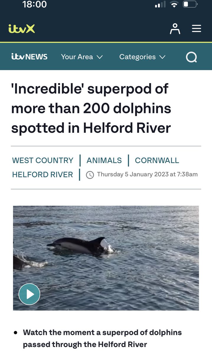 200 Dolphins spotted in the Helford this week!