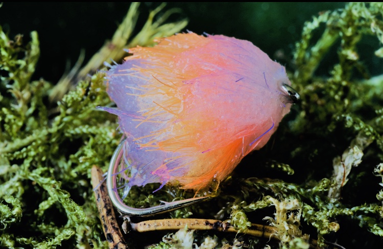 Phil Rowley Fly Fishing tweet media