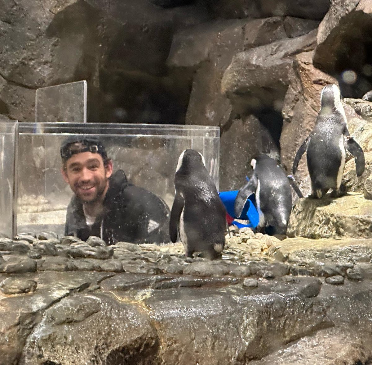 jasoncalanog's tweet photo. Took the TEAM to the @georgiaaquarium #LivingTheDream #LiveInThePresentMoment ๐ฆ๐๐ฆญ๐๐ณ๐ฌ๐๐ ๐ก๐ฆ๐ฆ๐๐น๐ค ๐๐ฝ https://t.co/44u1mpIWCf