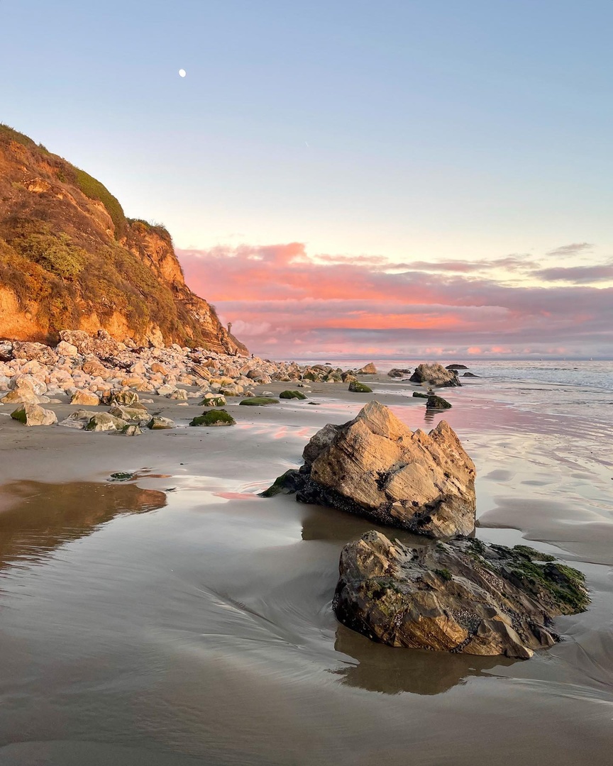 Visit Santa Barbara tweet media