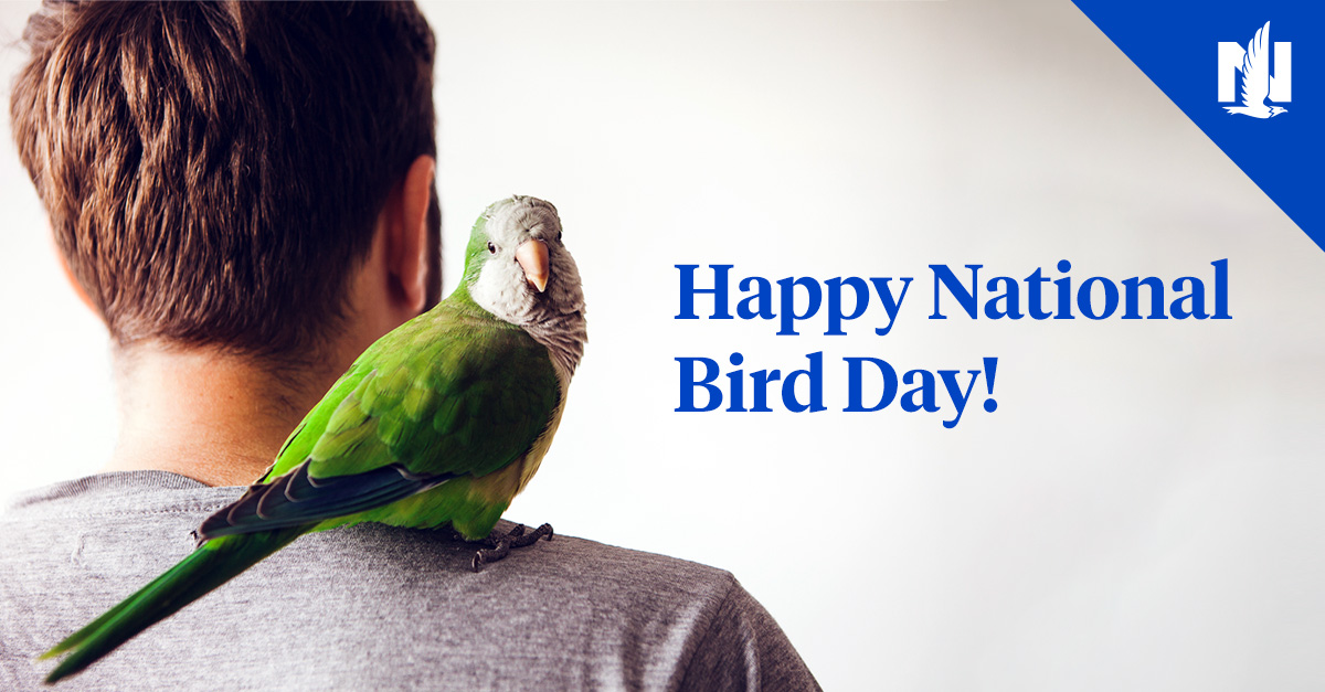 HeidiJSirota's tweet photo. Who's celebrating #nationalbirdday?https://t.co/ffGqpcsXTY https://t.co/JyTiHnXFgn