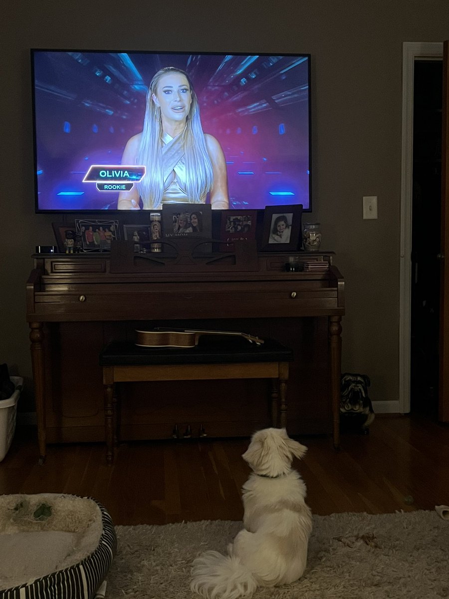 DavidBrooks1985's tweet photo. . @oliviakaiserxo my dog is checking you out on #TheChallengeRideorDies https://t.co/4NDdT37vxZ
