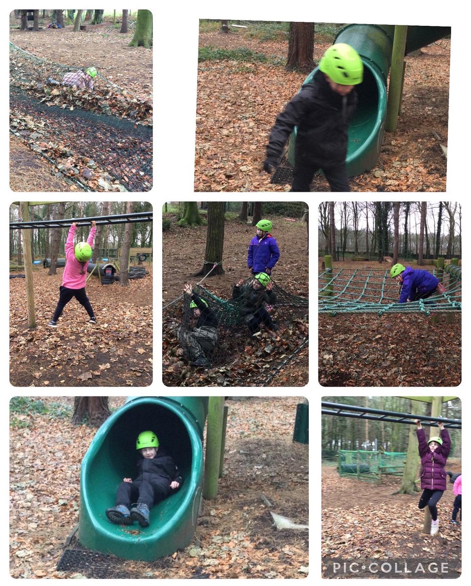 Bollinbrook CE Primary School tweet media