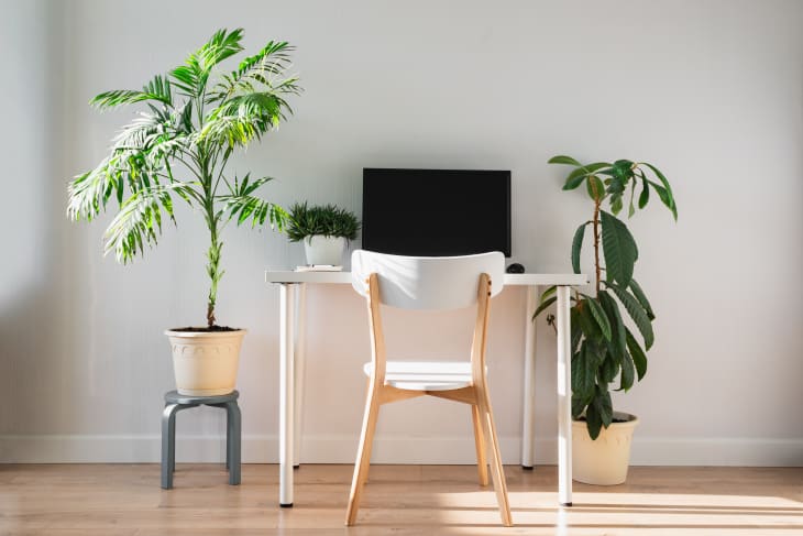 trurealty's tweet photo. A handful of interior designers shared their insight on the pricey decorating mistakes they’ve made in the past. Learn from their mistakes and save money!

Tru 
https://t.co/6QdX8DSNHV
855.242.8878 https://t.co/9ICySGkNnW https://t.co/zTVsUSZvx4